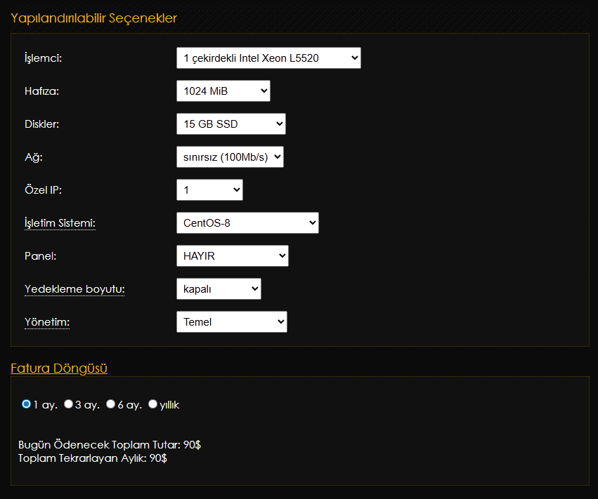 Ukrayna BulletProof VPS